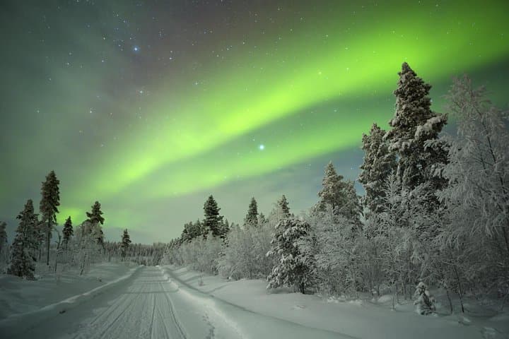 Northern Lights Picnic by Car from Rovaniemi