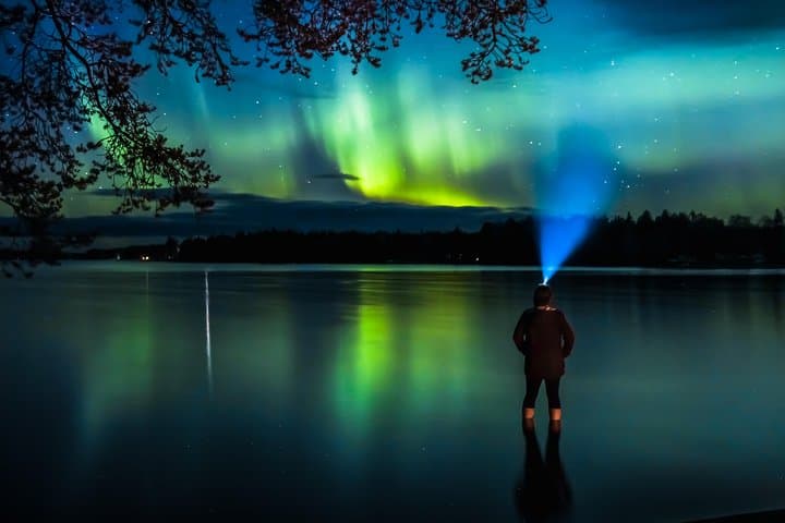 Autumn Aurora Borealis Picnic in Rovaniemi