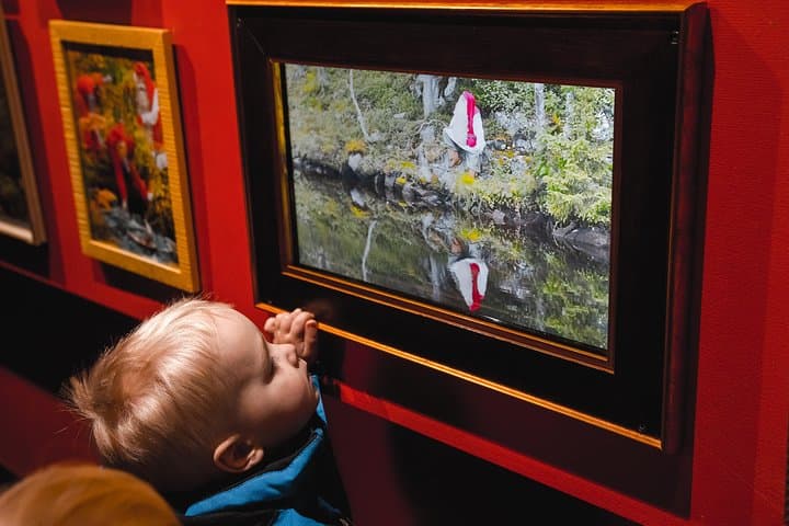 Arctic Delight - Santa's Village, snowmobiling and reindeer farm