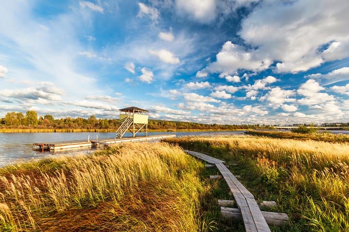 Rejuvenate Like A Local in the Arctic Wilderness