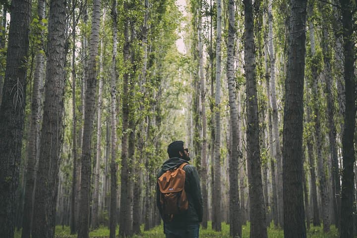 Rejuvenate Like A Local in the Arctic Wilderness