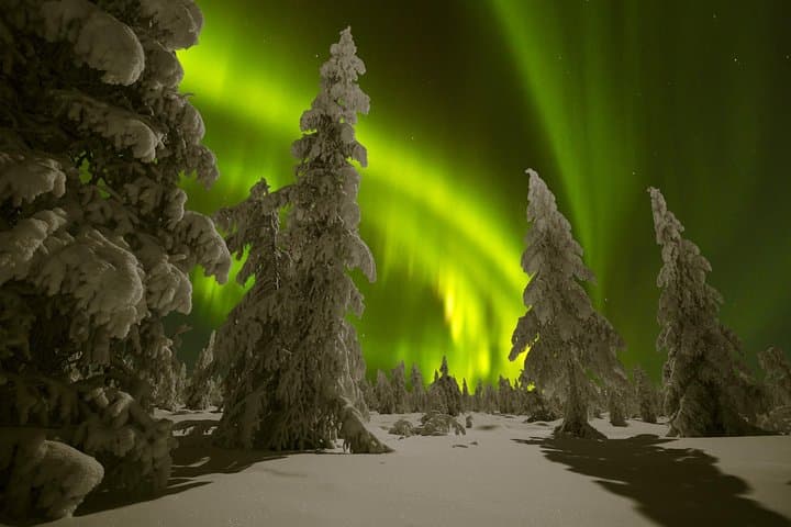 Northern Lights Picnic by Car from Rovaniemi
