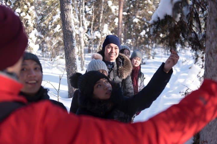 Teaching the guests about local nature