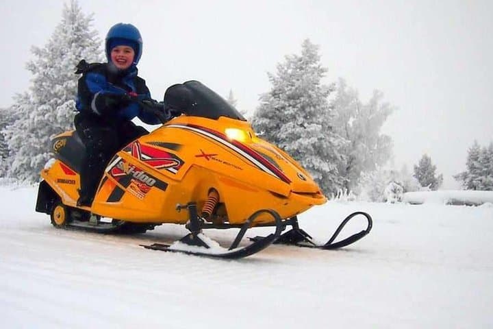 Lapland Family Snowmobile Safari from Levi
