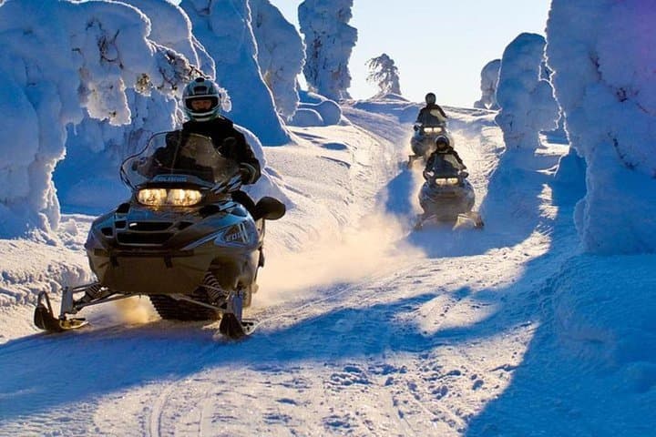 Lapland Family Snowmobile Safari from Levi