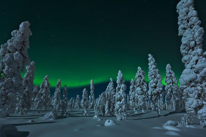 Northern Lights Snowmobile Safari from Rovaniemi with Campfire Picnic