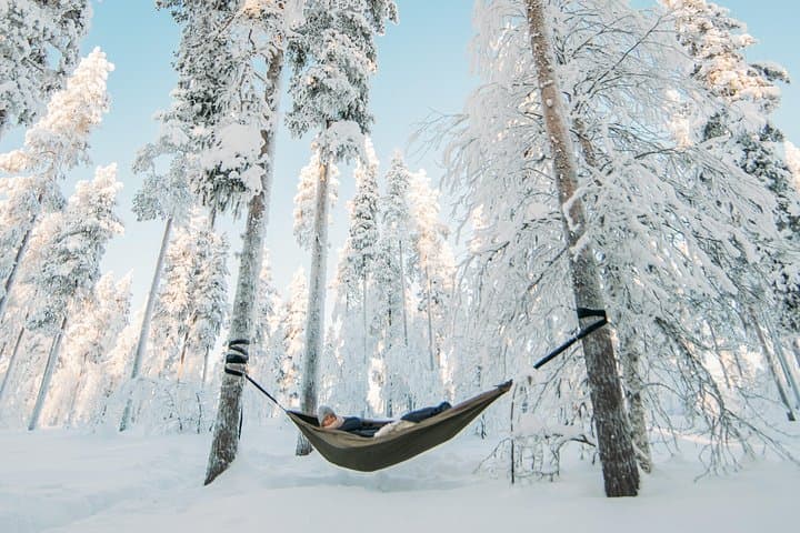 HaliPuu forest is a winter wonderland