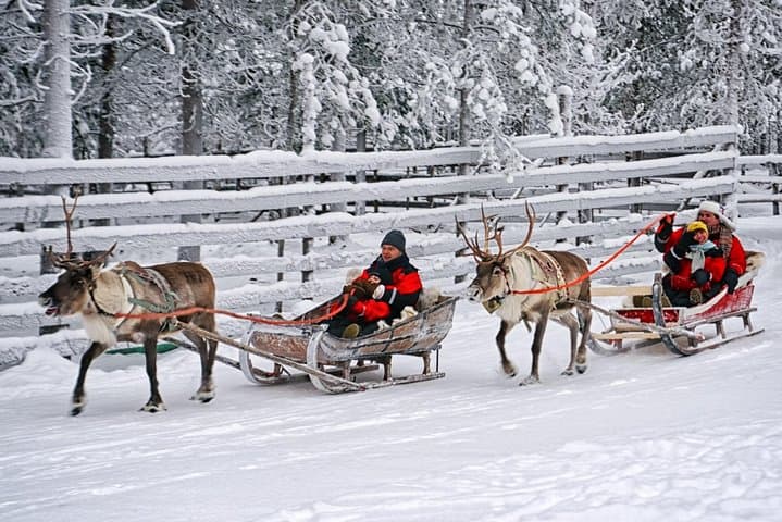 Rovaniemi Reindeer Farm visit and Safari