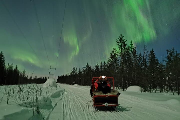 Northern Lights Sledge Ride