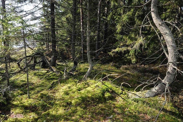 Wild unspoilt nature.