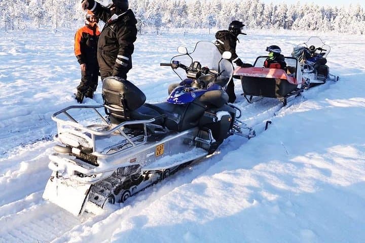 1-Hour Snowmobile Safari Experience