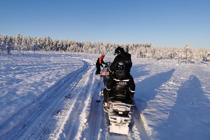 1-Hour Snowmobile Safari Experience