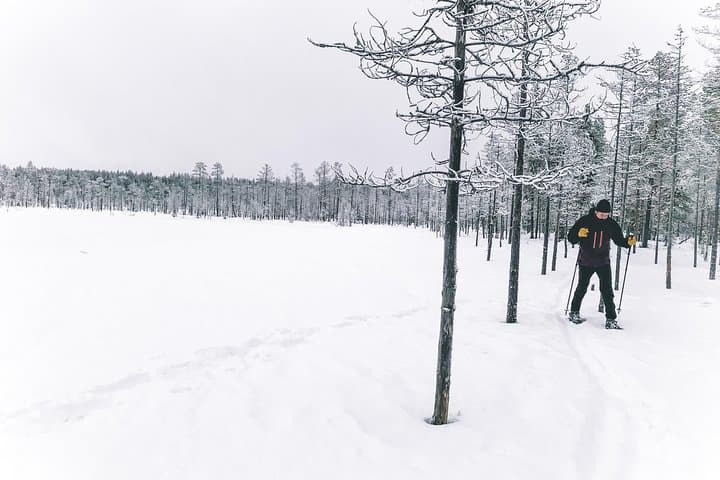 Private Snowshoeing Tour In Pyhätunturi With A Local Guide