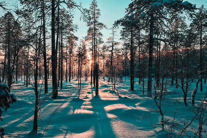 Private Snowshoeing Tour In Pyhätunturi With A Local Guide