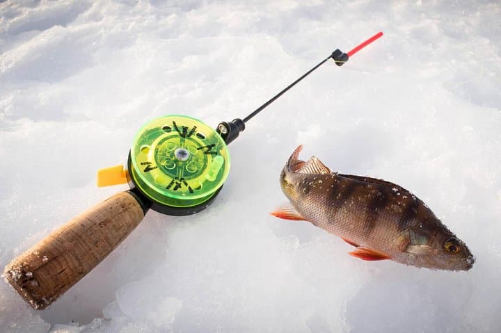 Ice Fishing Experience