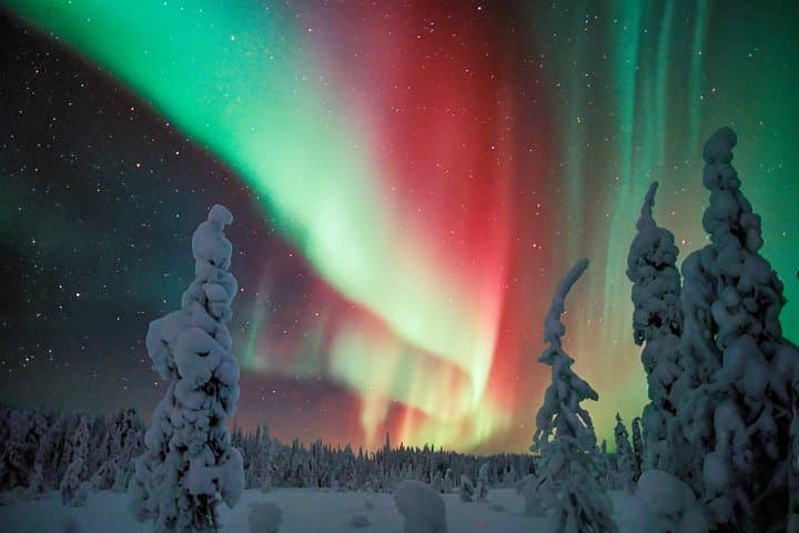 Auroras - Northern Lights - Rovaniemi