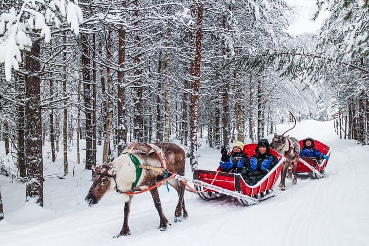Snowmobile Safari to Reindeer and Husky Farms - Rovaniemi