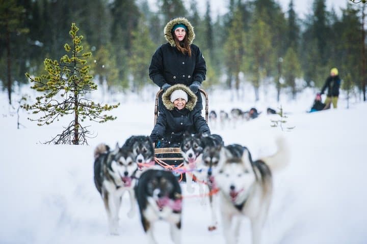 Snowmobile Safari to Reindeer and Husky Farms - Rovaniemi