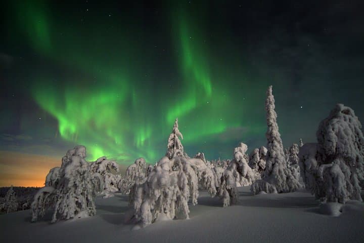 3-h Northern Light Safari by Snowmobiles From Levi