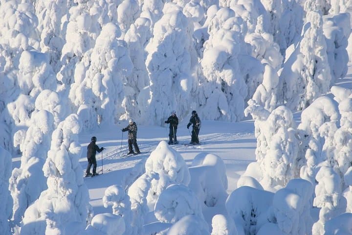 Small-Group Lapland Cross Country Ski