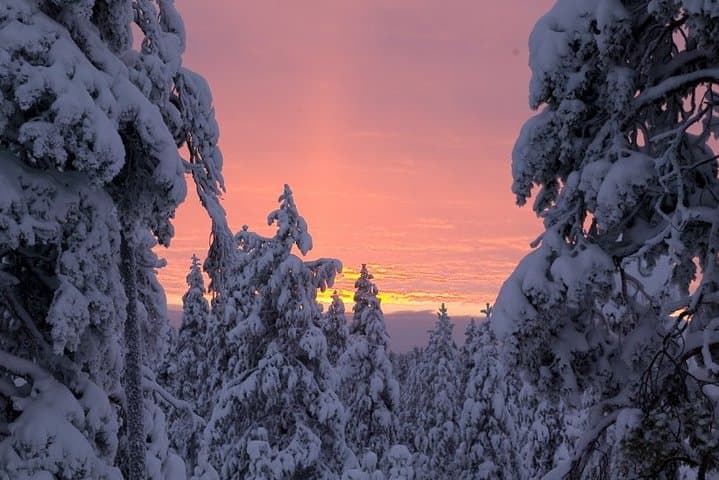 Ounasvaara and Ranua Zoo