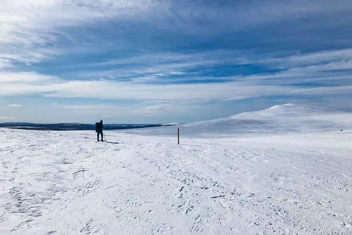 4-Day Small-Group Snowshoe Trek from Rovaniemi