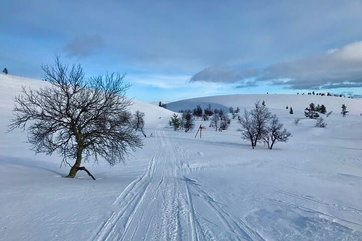 4-Day Small-Group Snowshoe Trek from Rovaniemi
