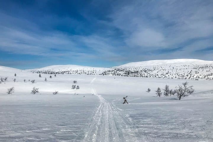 4-Day Small-Group Snowshoe Trek from Rovaniemi