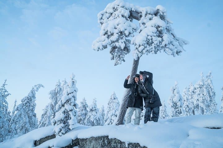 Private Rovaniemi photography tour