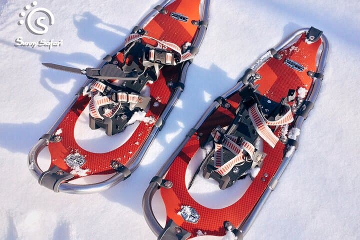 Snowshoeing in Lapland Wilderness