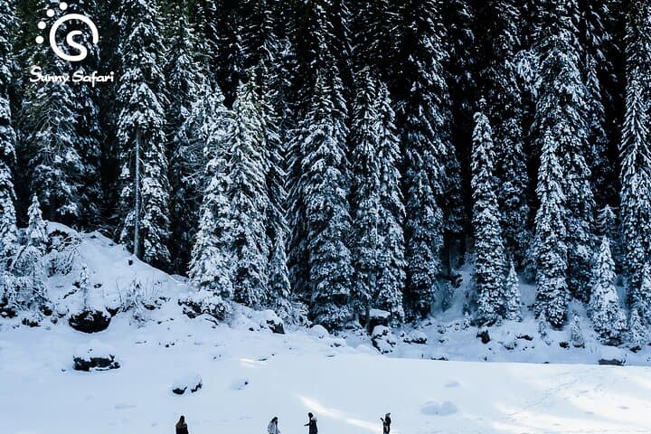 Snowshoeing in Lapland Wilderness