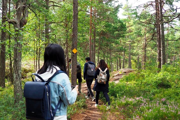 Archipelago Excursion from Helsinki with Lunch and Transportation