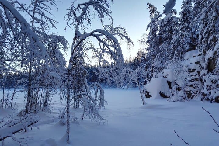 Half-Day Nature Adventure to Nuuksio National Park from Helsinki