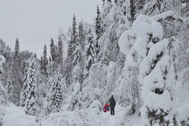 Hiking into cotton paradise!