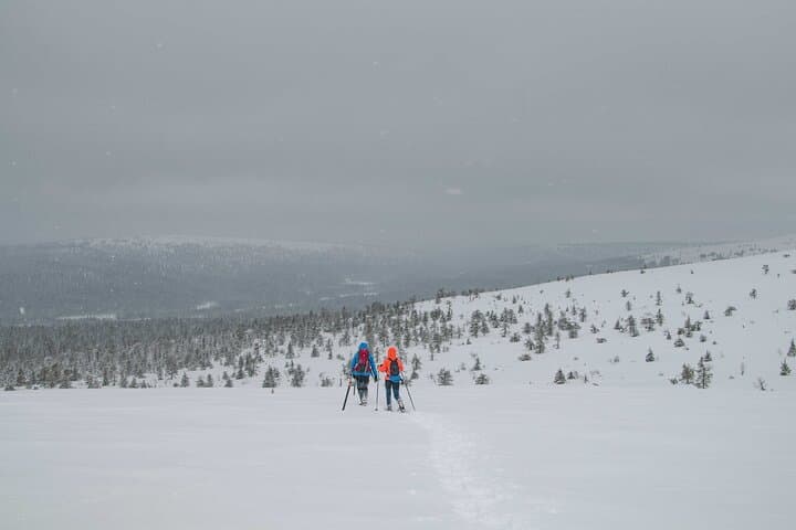4-Day Small-Group Snowshoe Trek from Rovaniemi