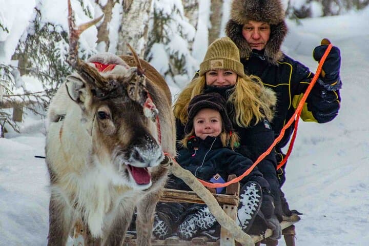 Authentic Reindeer Farm Experience in Rovaniemi
