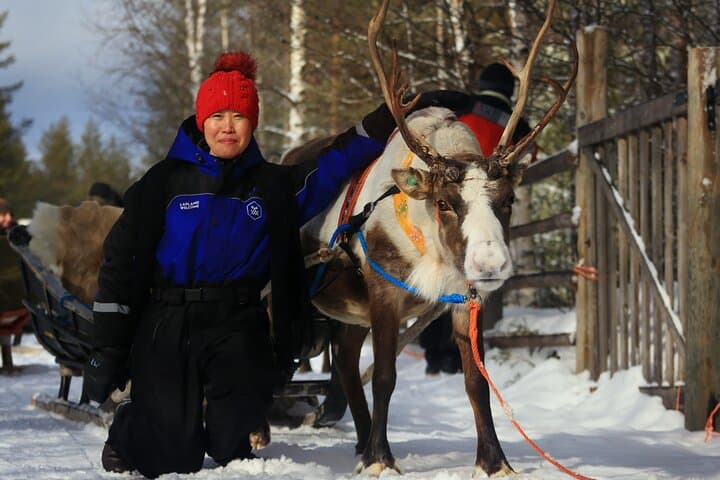 Santa Claus Safari with Snowmobile - Rovaniemi
