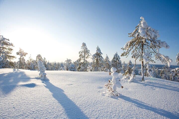 Ice Fishing Excursion with Campfire in Rovaniemi