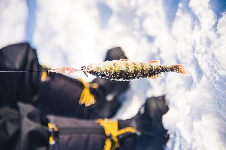 Ice Fishing Excursion with Campfire in Rovaniemi