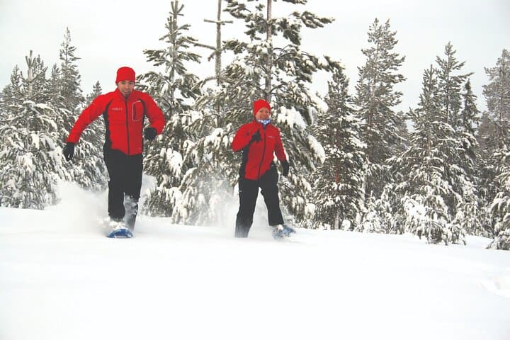 Snowshoe Trekking, Ice Fishing, and Grilling in Arctic Nature from Rovaniemi
