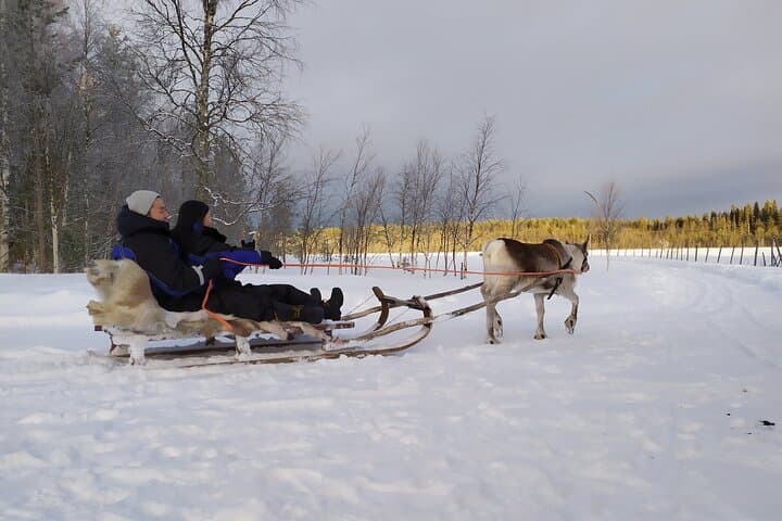 Santa's Village Adventure: Husky, Reindeer, Buffet, Certificate