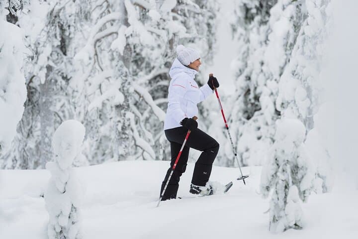 Snowshoe Trekking with Campfire BBQ from Rovaniemi