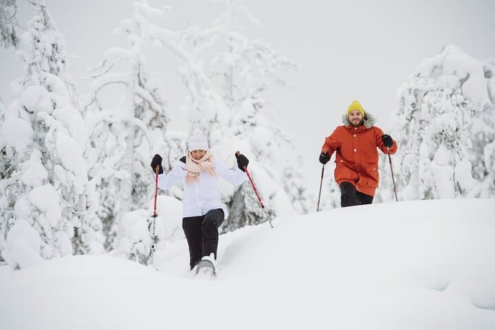 Snowshoe Trekking with Campfire BBQ from Rovaniemi