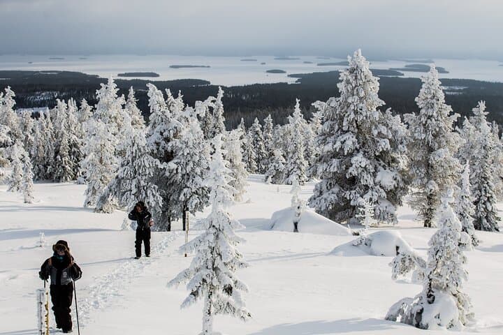Snowshoe Trekking with Campfire BBQ from Rovaniemi