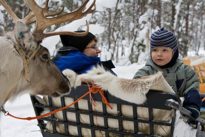 Santa Claus Village: Husky and Reindeer Combo with Hotel Transfer