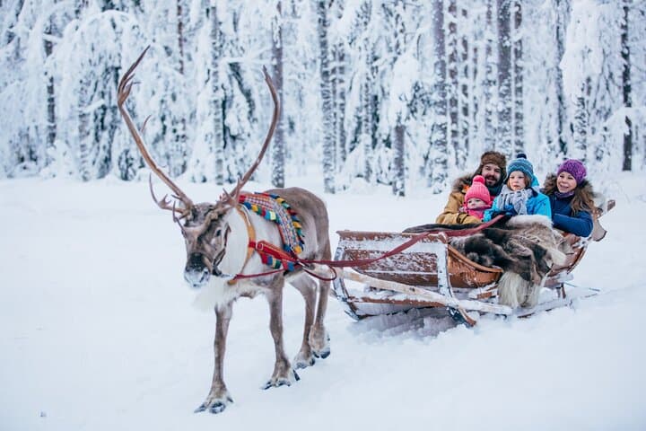 Reindeer Sleigh Ride and Farm Experience from Rovaniemi