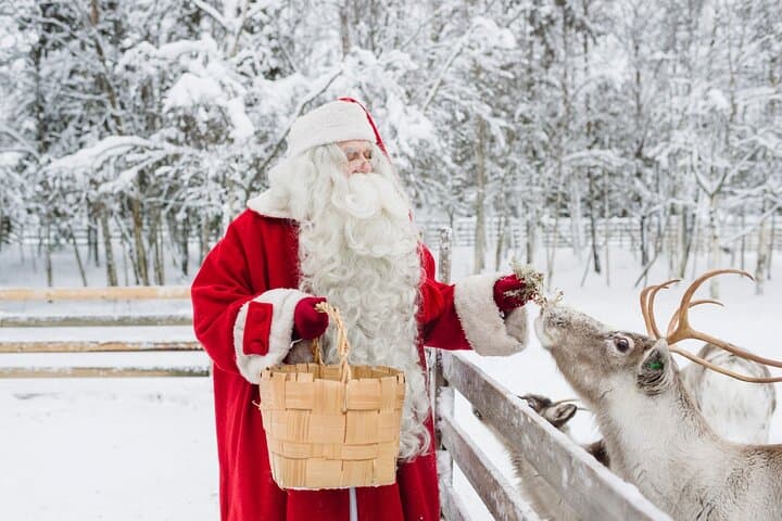 Reindeer Sleigh Ride and Farm Experience from Rovaniemi