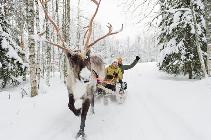 Reindeer Sleigh Ride and Farm Experience from Rovaniemi
