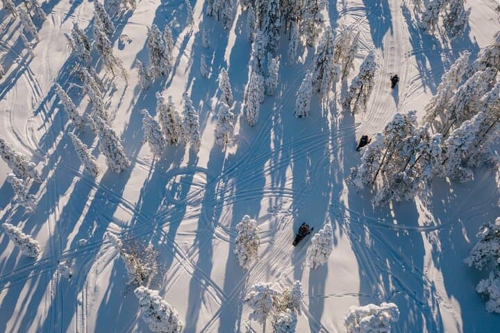 Snowmobile Safari through Lappish Forest from Rovaniemi