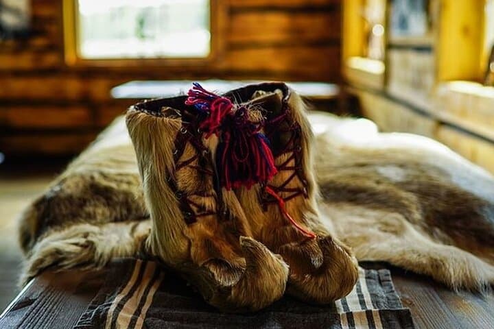 Visit a Lappish Reindeer Farm in the Summer